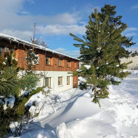 Apartman Leo Nr. 8 Lipno Nad Vltavou Buitenkant foto