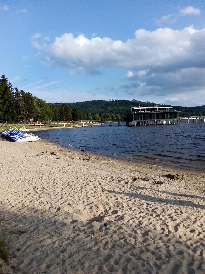 Apartman Leo Nr. 8 Lipno Nad Vltavou Buitenkant foto
