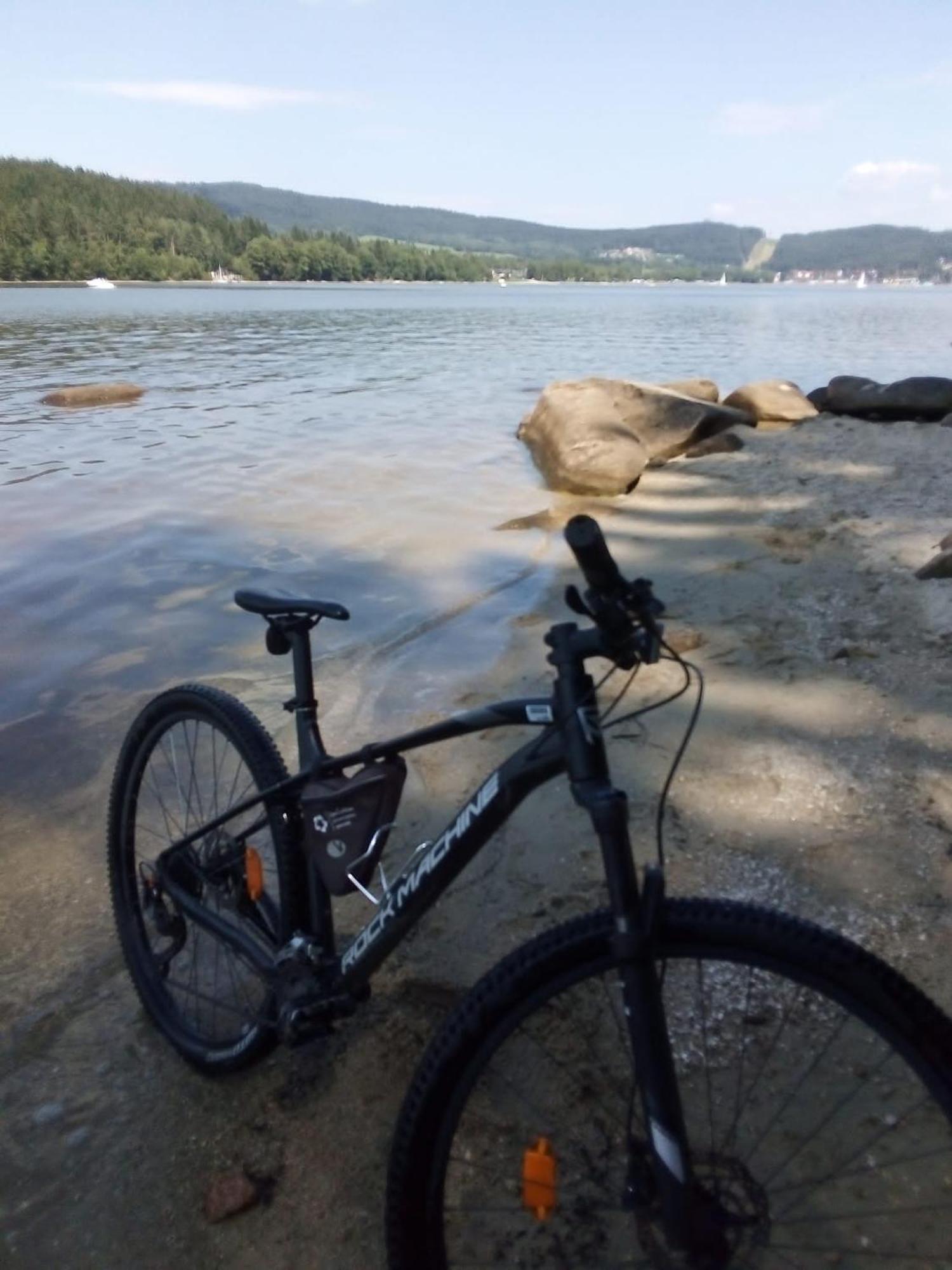 Apartman Leo Nr. 8 Lipno Nad Vltavou Buitenkant foto