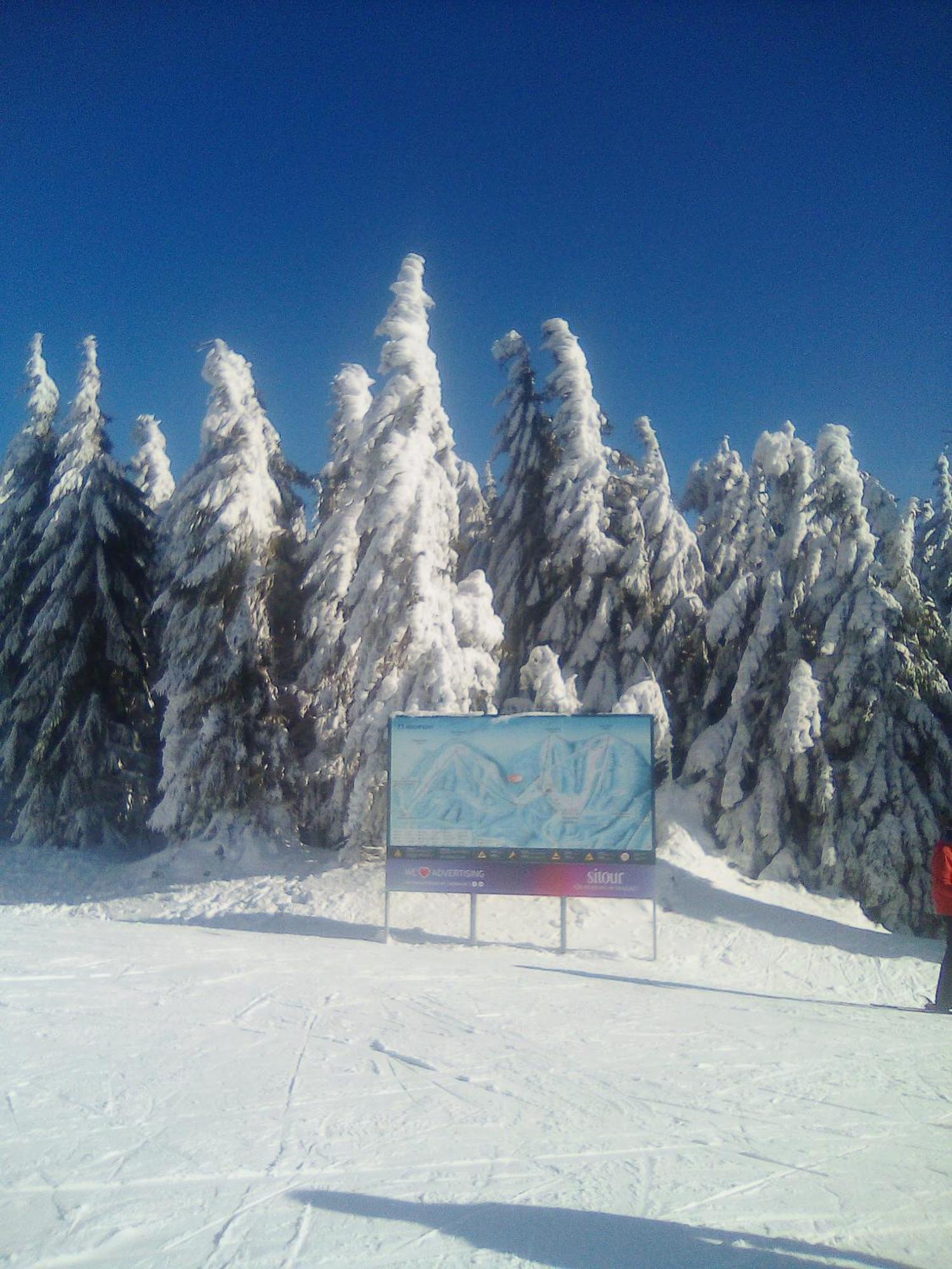 Apartman Leo Nr. 8 Lipno Nad Vltavou Buitenkant foto