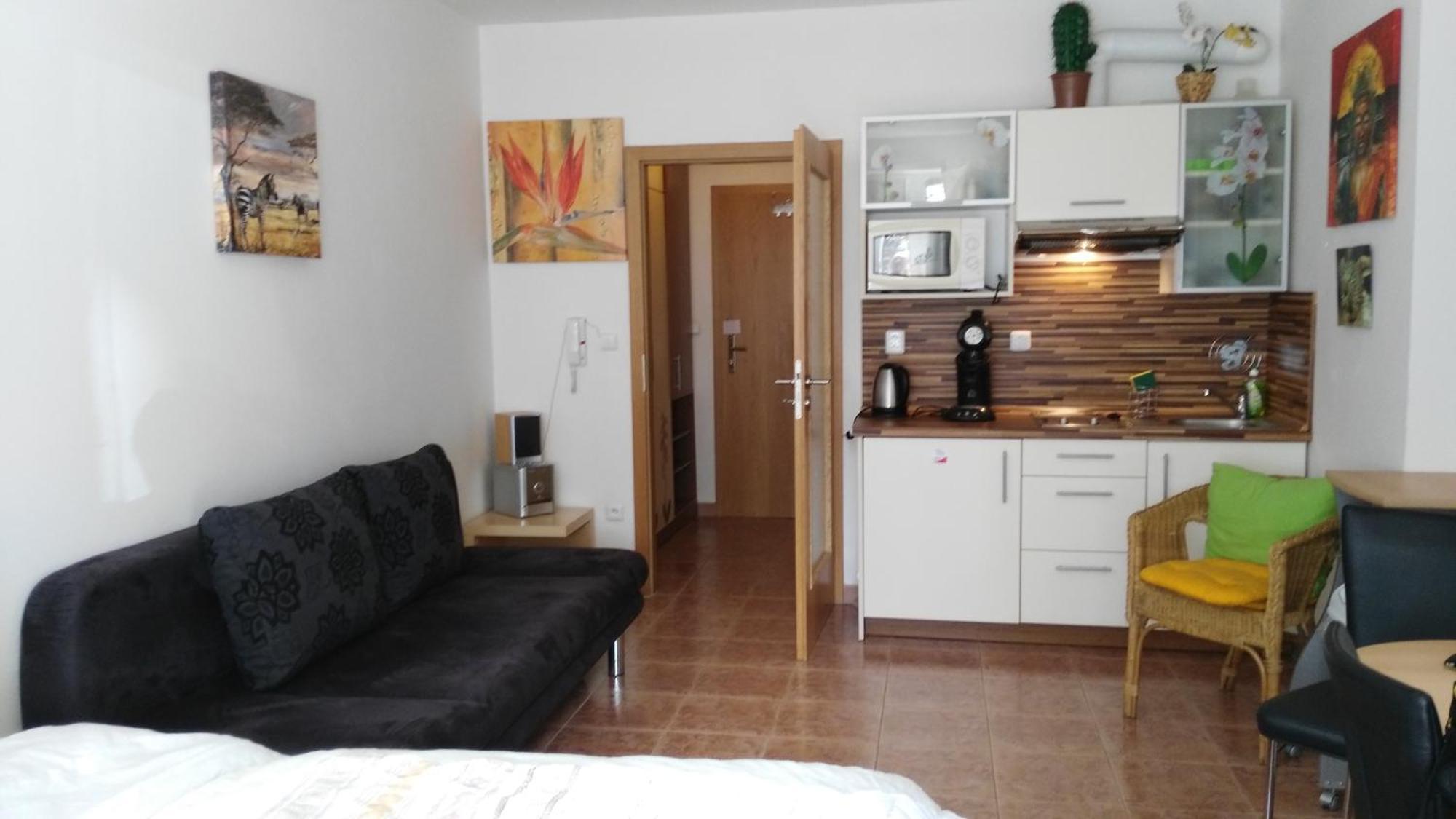 Apartman Leo Nr. 8 Lipno Nad Vltavou Buitenkant foto