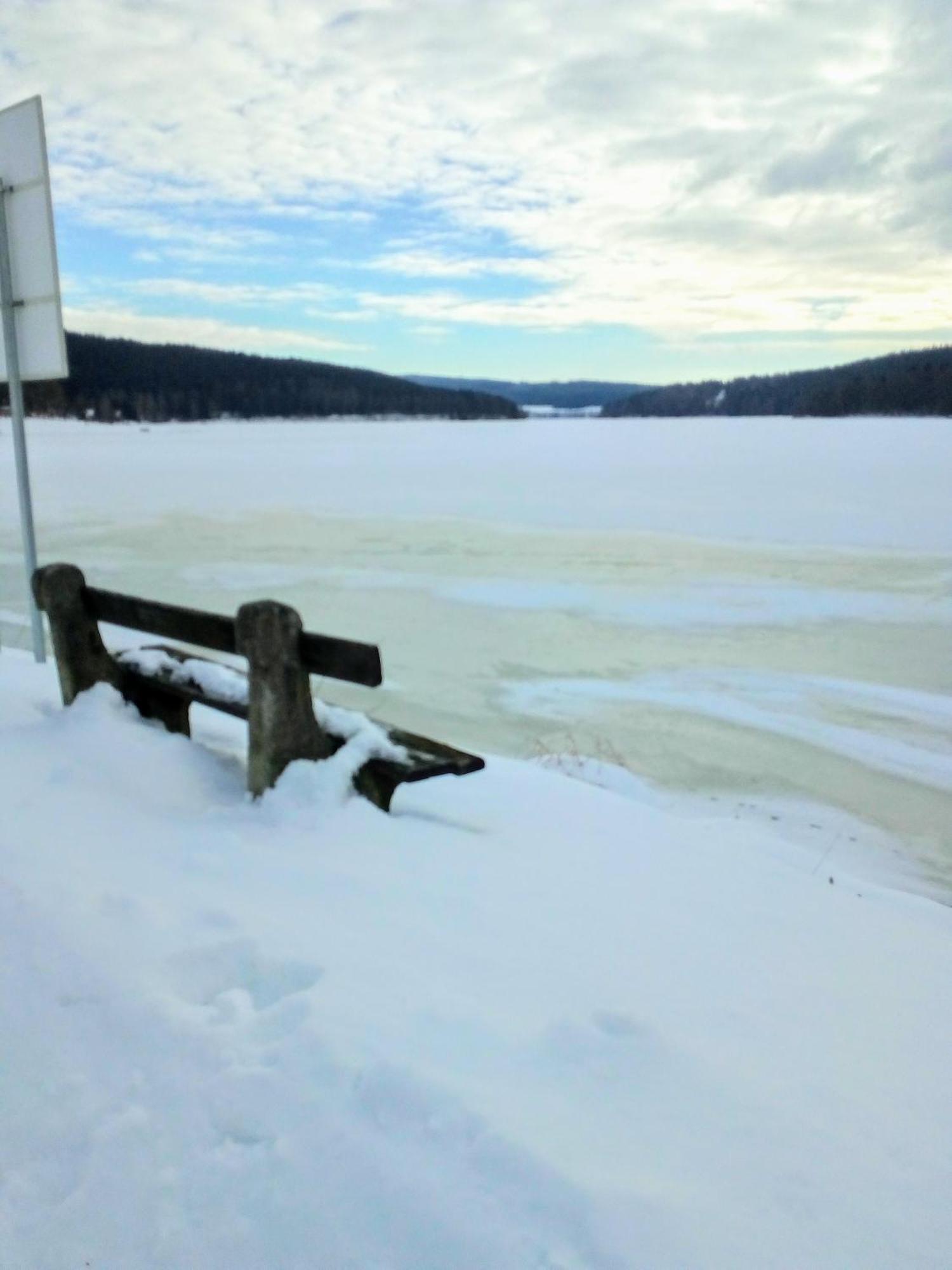 Apartman Leo Nr. 8 Lipno Nad Vltavou Buitenkant foto